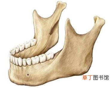 什么会导致脸大 为什么会脸大