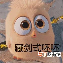 藏剑秘籍 为什么叫藏剑