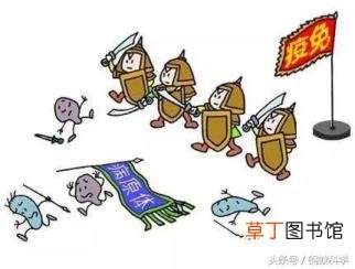 为什么被蚊子叮后会肿 被蚊子咬为什么会肿