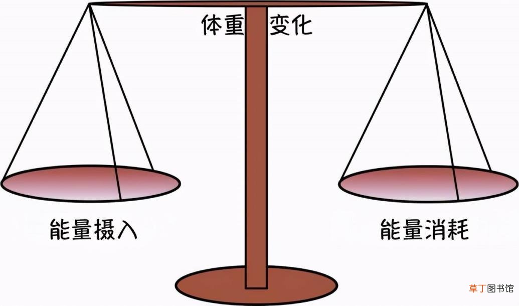 为什么瘦子怎么吃都不胖 为什么瘦不了