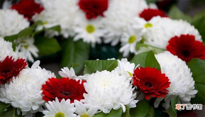 周公解梦梦见花圈
