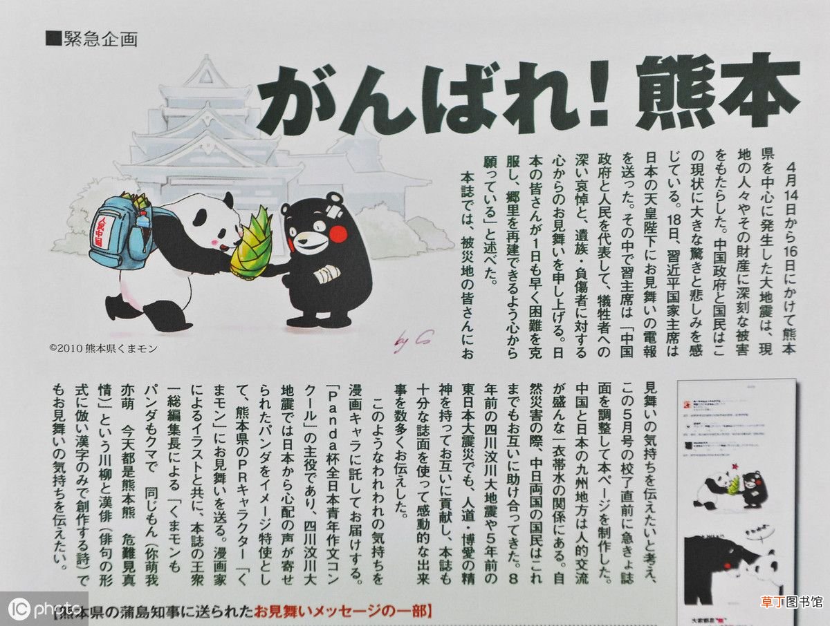 为什么大熊猫能成“国宝”？ 大熊猫为什么是国宝