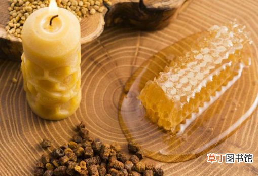 蜂胶胶囊的食用方法 蜂胶胶囊