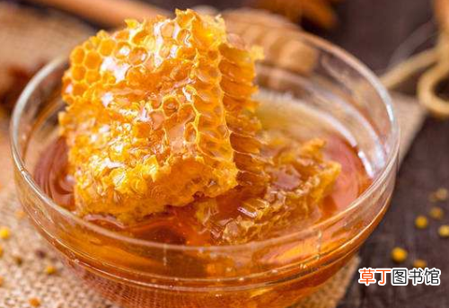 蜂胶胶囊的食用方法 蜂胶胶囊