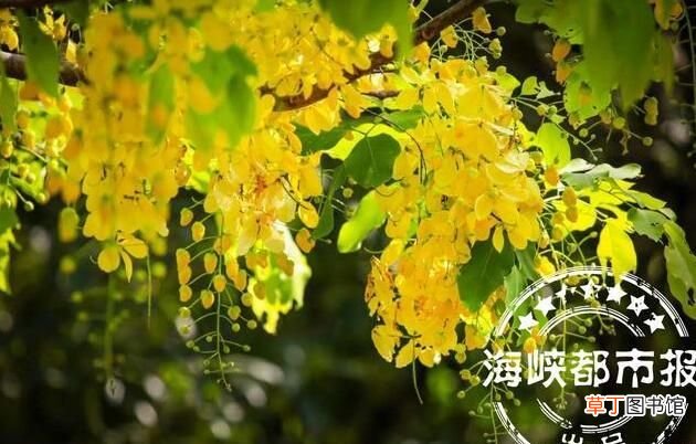 中秋节的起源中秋节的来历介绍 中秋节的由来简短