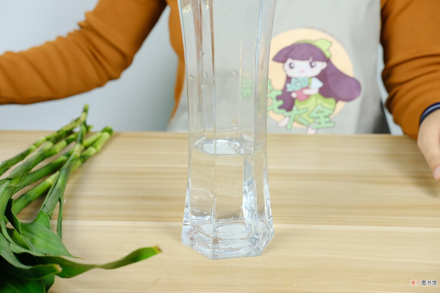 富贵竹几天换一次水