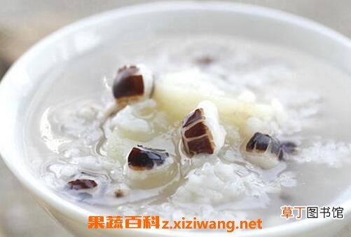 薏米粥的做法与功效 喝薏米粥的好处