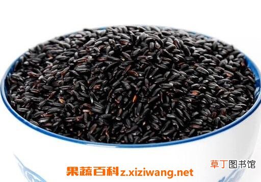 黑米掉色是怎么回事 怎么鉴别黑米的真假