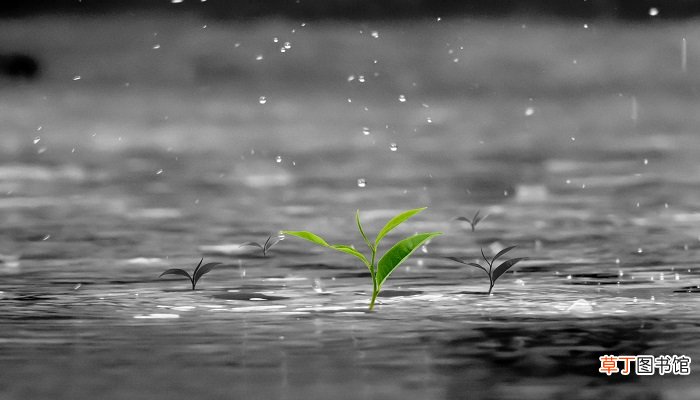 梦见下大雨涨水是什么征兆