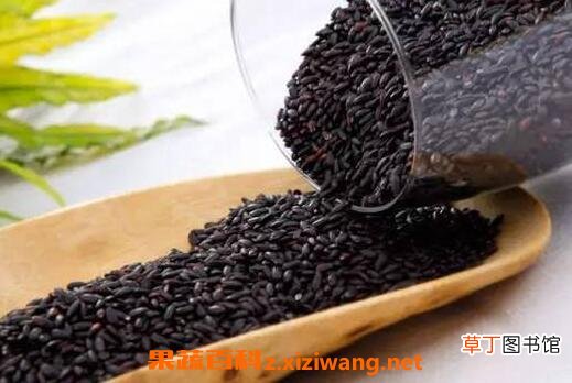 黑米怎么辨别真假 黑米适合什么人吃