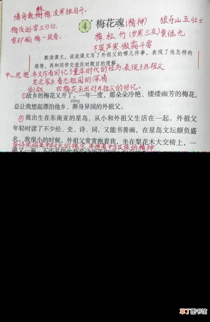 梅花魂中梅花的秉性是什么 外祖父为什么喜欢梅花