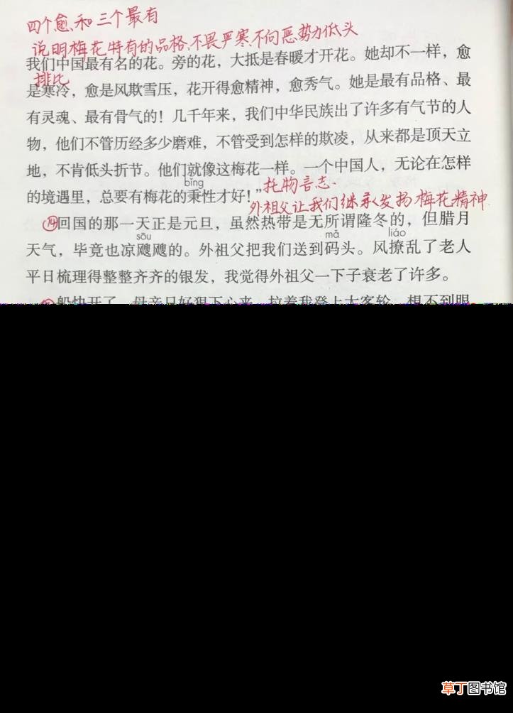 梅花魂中梅花的秉性是什么 外祖父为什么喜欢梅花
