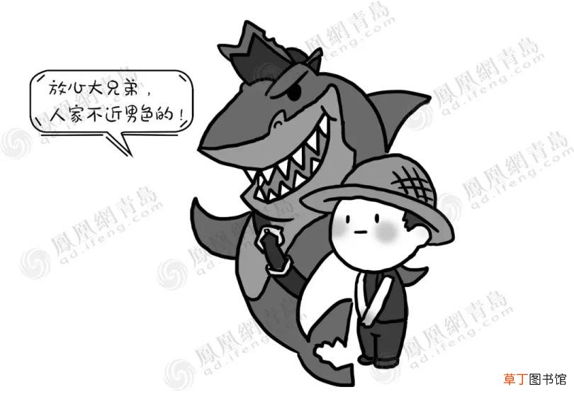 青岛的来历 为什么叫青岛