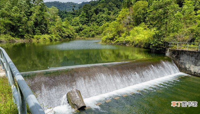 梦见水灾逃难