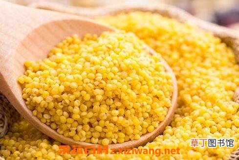 小米与黄米的区别 小米与黄米有什么不同
