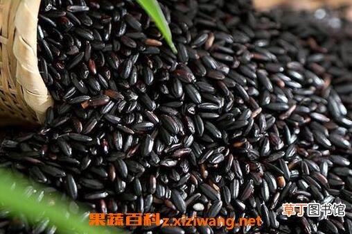 黑米营养价值 吃黑米的好处有哪些