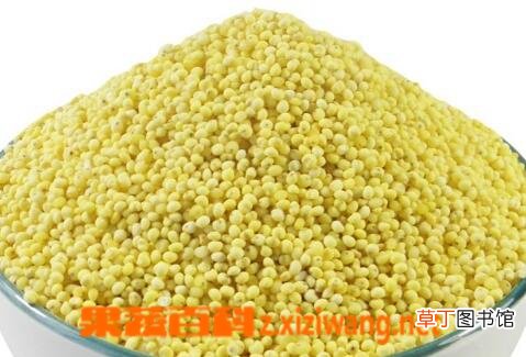 吃黍米的禁忌与注意事项