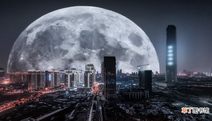 梦见地上好多蛇