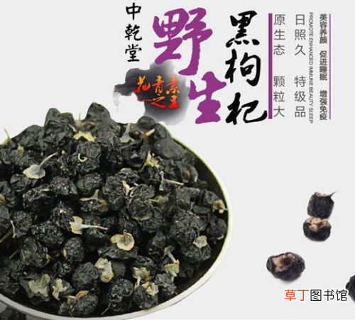 看黑枸杞怎么吃好 黑枸杞的正确吃法