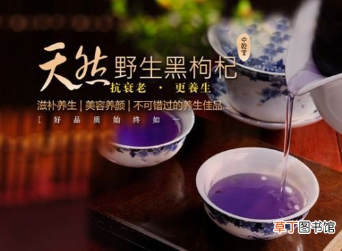 看黑枸杞怎么吃好 黑枸杞的正确吃法