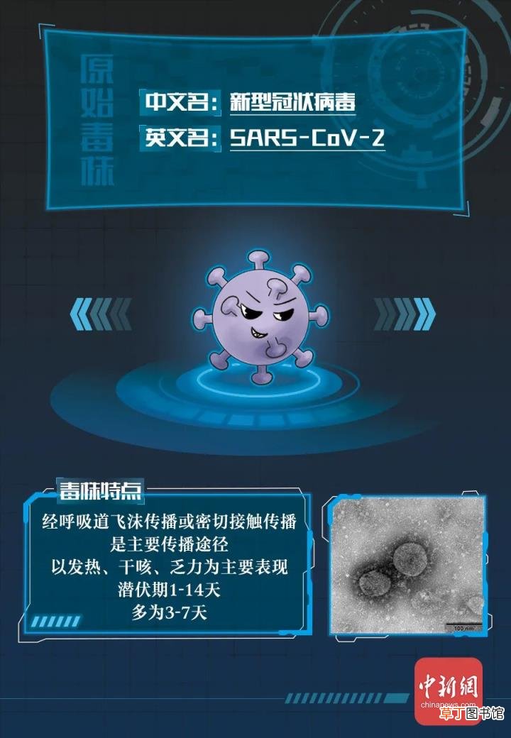 新冠病毒全家谱：谁最毒?谁最快?谁最要命?