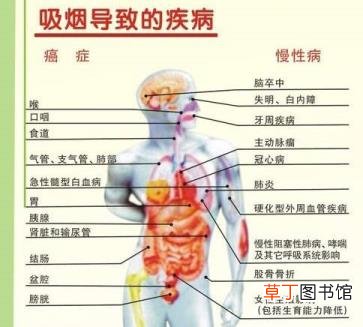刚抽完烟怎么让人闻不到 人为什么吸烟