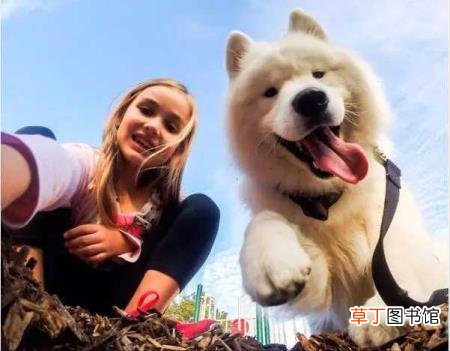 狗狗真的会把主人当妈妈吗 狗为什么放屁