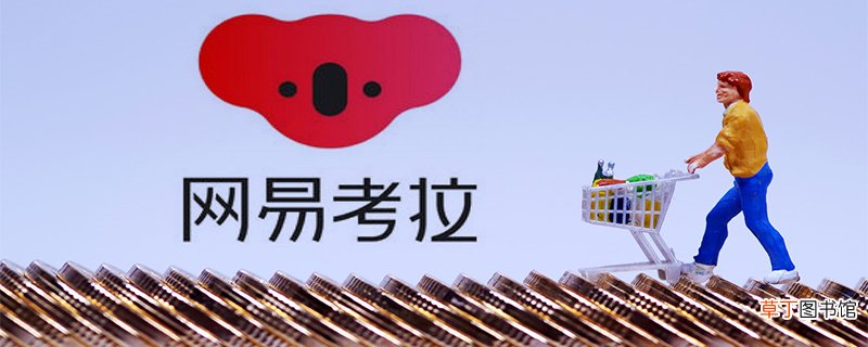 网易白条在哪开通 网易白条在哪开通啊 想要开通网易白条怎么开通