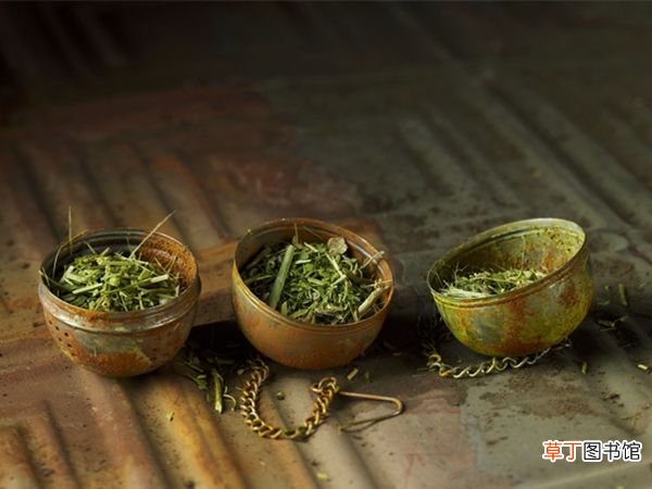 中药北五味子的功效与作用 ！ 北五味子