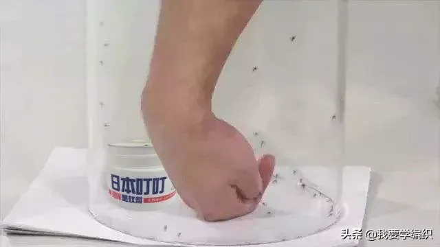 你知道蚊子最怕什么吗？ 蚊子怕什么？