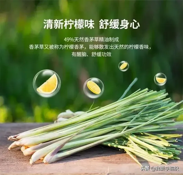你知道蚊子最怕什么吗？ 蚊子怕什么？