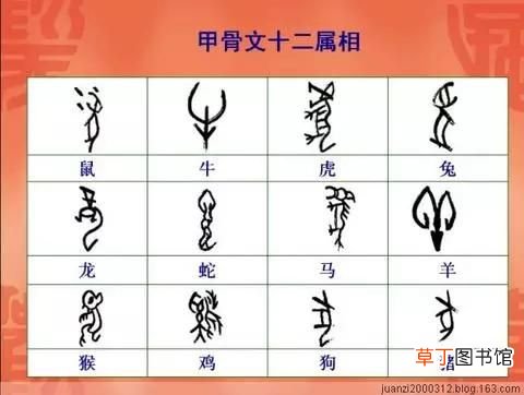中国汉字的起源和演变你知道吗？ 汉字演变过程