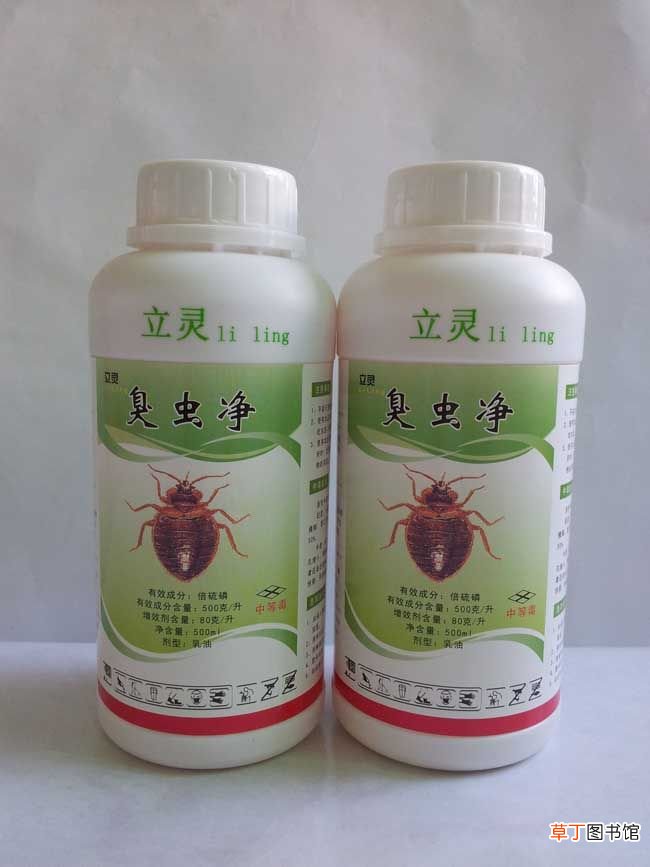 家里发现臭虫应该怎么办 臭虫怎么消灭