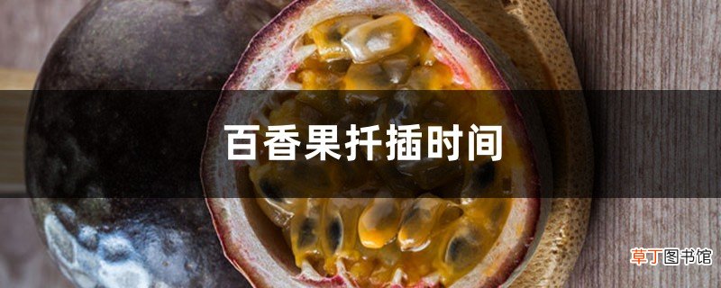 百香果扦插时间
