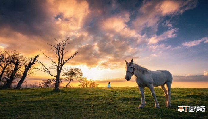 孕妇梦见骑马
