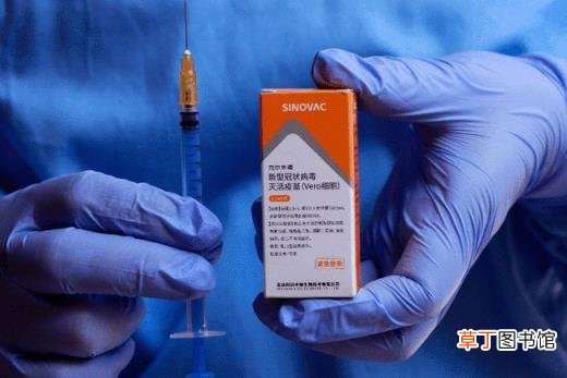 科兴第三针和前两针一样吗?科兴第三针加强针什么时候打