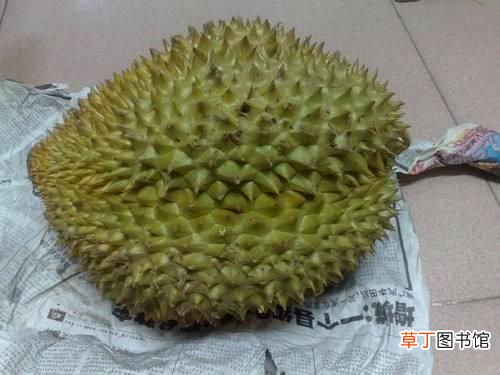 没熟的榴莲打开了怎么办？ 榴莲没熟打开后怎么办