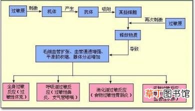 脸上总是过敏反反复复 脸过敏为什么反反复复