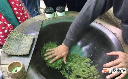 农家自家茶叶如何制作呢？