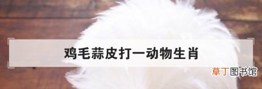 鸡毛蒜皮打一动物生肖