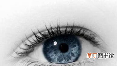 眼珠哪种颜色好