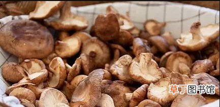 发物食物有哪些？