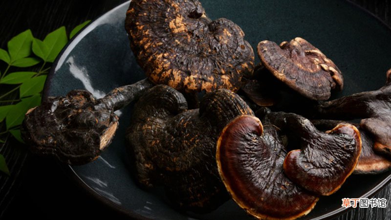 世界三宝是哪三宝