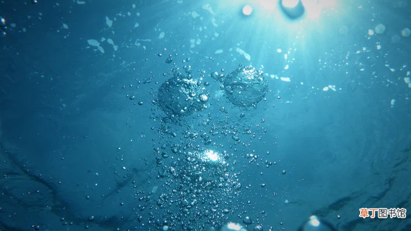 开水瓶内胆水垢怎么除