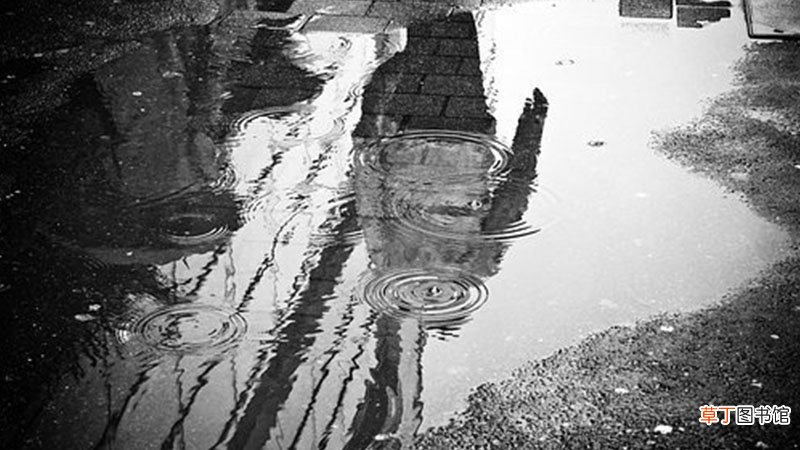 下雨有哪些好处