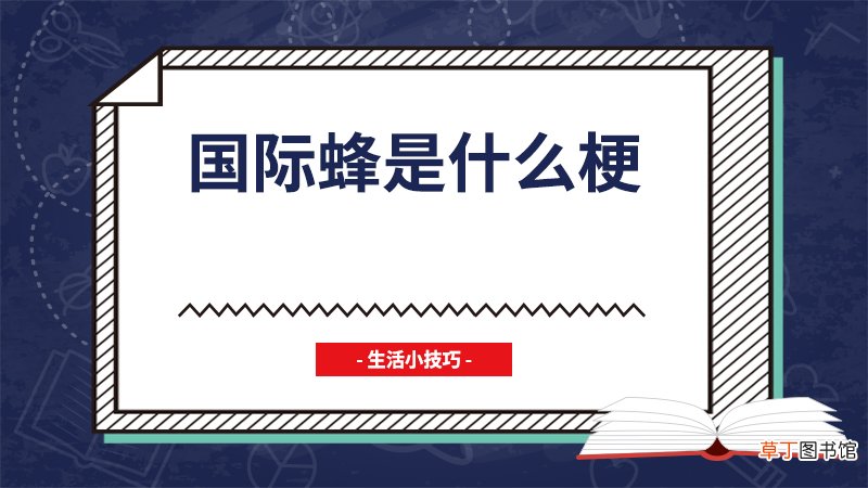 国际蜂是什么梗