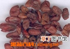 山萸肉的功效与作用有哪些