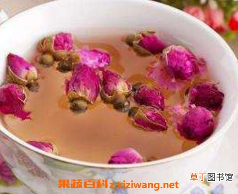 月季花泡水喝的功效与作用