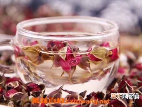 月季花泡水喝的功效与作用