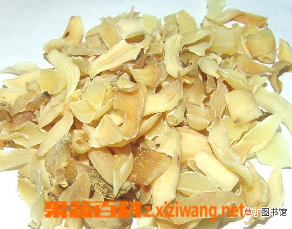 百合的功效与作用和医用价值